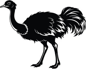 Obraz premium Ostriche bird Silhouette, Emu silhouette vector illustration