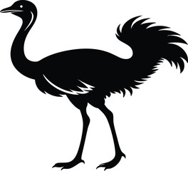 Obraz premium Ostriche bird Silhouette, Emu silhouette vector illustration