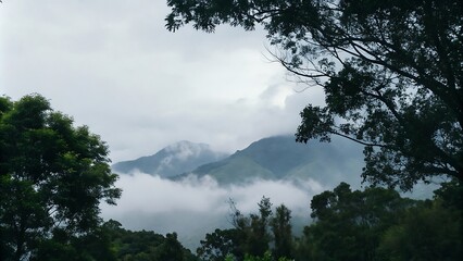 Fog over mountains with a beautiful forest