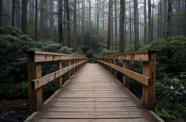 A serene wooden bridge in a misty forest.