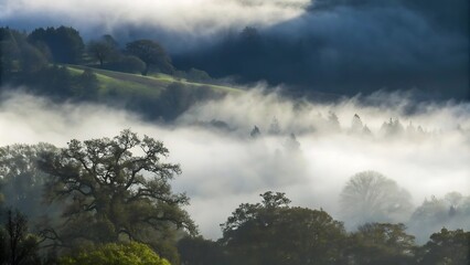 Obraz premium Fog over mountains with a beautiful forest