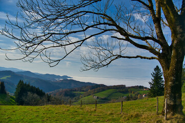 Obraz premium Schwarzwaldlandschaft bei St. Ulrich oberhalb von Freiburg