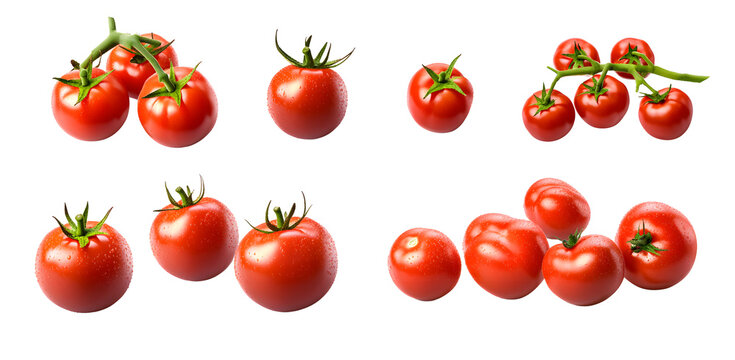 A collection of fresh juicy red ripe tomatoes on and off the vine isolated against a transparent background