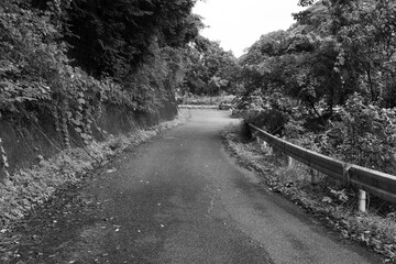 山道の写真（白黒画像）