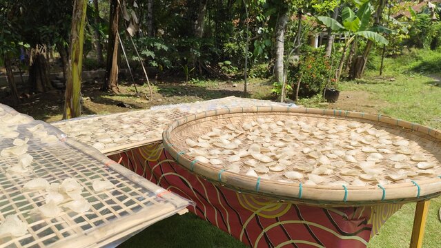 drying crackers