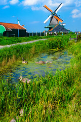 Fototapeta premium Iconic Windmills of Holland 