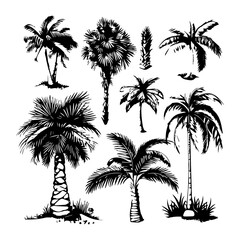 Set of Palm Tree Silhouette Vectors for Graphic Design and Illustrations