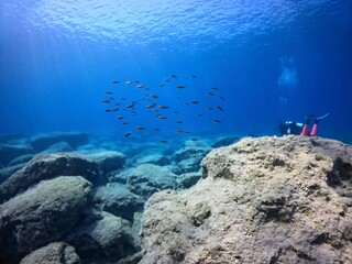 School of fish, rocky seabed and scuba diver. Underwater landscape, seascape with the blue ocean. Shallow clear sea and scuba diver. Travel picture, adventure scuba trip. 