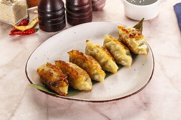 Fried Japanese stuffed dumplings - Gyoza