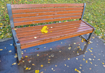 Autumn leaves are lying on the bench and next to it