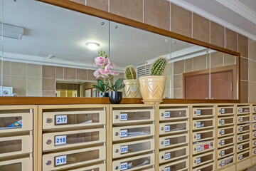 There are two pots of flowers on the mailboxes