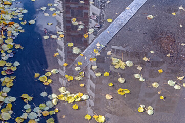 There is a puddle on the road and autumn leaves in it