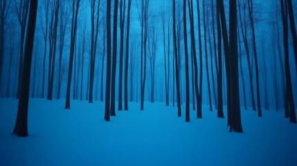 Frozen forest illuminated by ambient blue light, cold fog rising, tranquil winter atmosphere