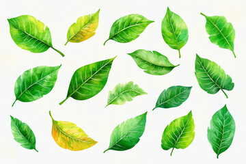 Watercolor green leaves in various shapes and shades create vibrant and fresh atmosphere, perfect for nature themed designs or backgrounds