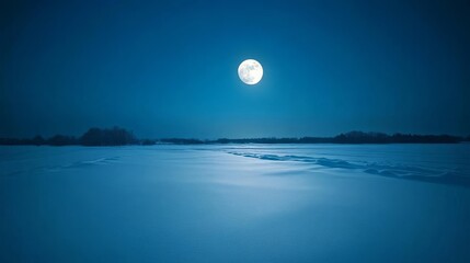 Moonlight reflecting off a snow-dusted field, ambient blue hue, peaceful and quiet winter night scene
