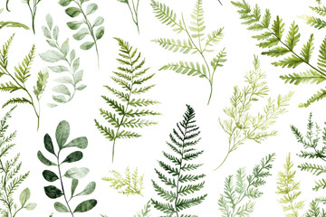 A variety of green ferns and leaves, showcasing diverse shapes and textures, displaying lush vitality.