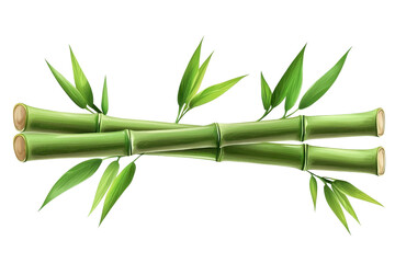 Naklejka premium Two green bamboo stalks with lush green leaves arranged together.