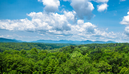 Blue ridge mountain range seen from Asheville, NC in a sunny summer day with a blue sky and a forest in the first plane.