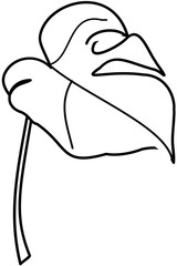 Monstera element Doodle element coloring page cartoon Illustration
