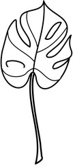 Monstera element Doodle element coloring page cartoon Illustration
