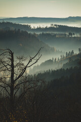 Fototapeta premium Mgły w dolinie