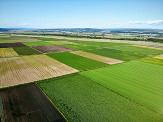 Expansive Farmland with Geometric Patterns