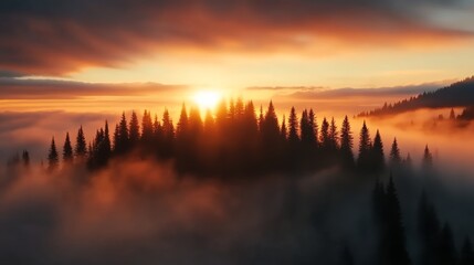 Obraz premium Stunning sunset over a foggy forest, capturing the serene beauty of nature and the transition from day to night.