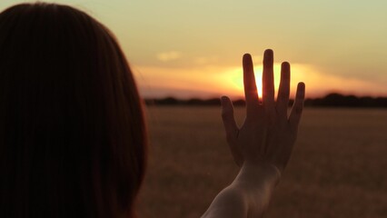 hand silhouette sunset sky summer park forest, dream girl nature, summer shape hands, female dream, make figure shape, holiday holidays, hand hand silhouette, traveling pleasure freedom, dream concept