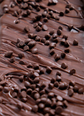 Melting chocolate brownies with choco chips topping