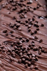 Melting chocolate brownies with choco chips topping