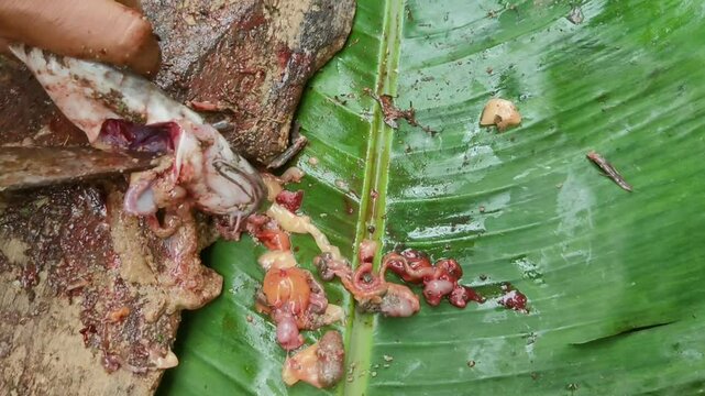 Close-up of a catfish being cleaned on a wooden board, with brightly colored internal organs scattered on green banana leaves. The image captures the traditional method of preparing fresh fish.
