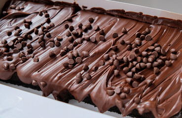 Melting chocolate brownies with choco chips topping