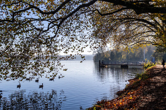 Herbststimmung am See