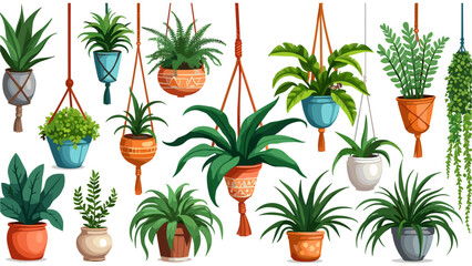 Set of macrame hangers for plants growing in pots. Bundle of hanging planters made of cotton cord, beautiful handmade home decorations isolated on white background. Cartoon flat vector illustration.