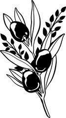 Hand drawn illustration of olive and branches.