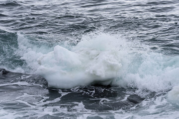 北海道　知床の海岸の流氷