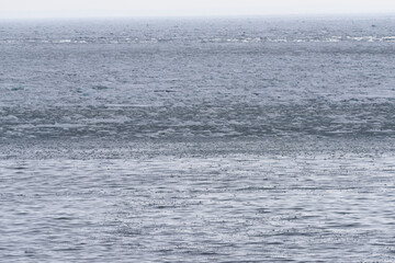 北海道　知床の海岸の流氷