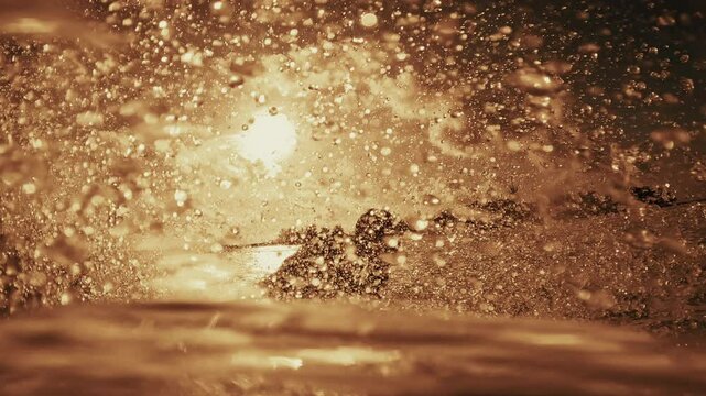 Surfer rides the wave in the Maldives at sunset and makes sharp turn with spray in front of the camera