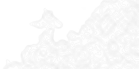 Contour abstract map relief land outline. Topographic map patterns. White wave paper curved reliefs abstract background. Background of the topography map. Abstract pattern with lines.