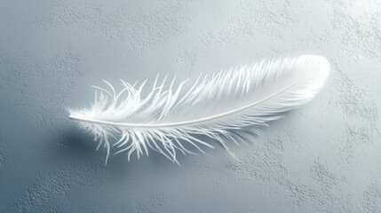Elegant White Feather on Soft Textured Surface