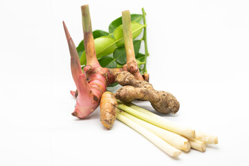 spices isolated on white background