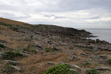 海岸線から広がる岩場と草原