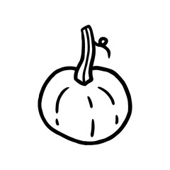 Pumpkin isolated on a white background. Vector hand-drawn doodle illustration. Perfect for decorations, menu, logo, various designs.