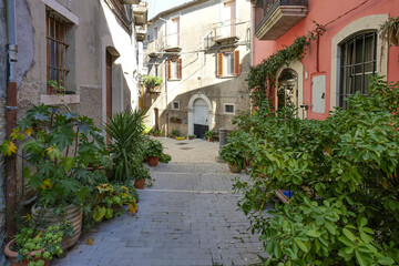 Naklejka premium A road between the old houses of Sepino, a village in Molise, Italy.
