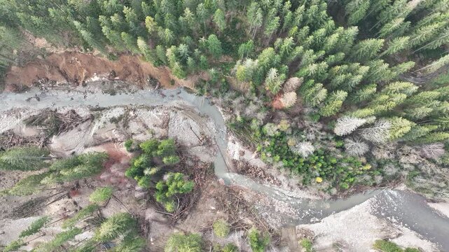 River autumn Jeseniky fall after flood color meander drone aerial mountain in sandy delta sand alluvium, benches forest spruce wetland Cerna Opava swamp, quadcopter view flying, Europe