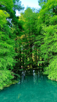 Paratico Parco Taxodi