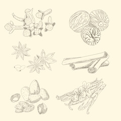 Vintage-style spices cinnamon, star anise, cloves, nutmeg