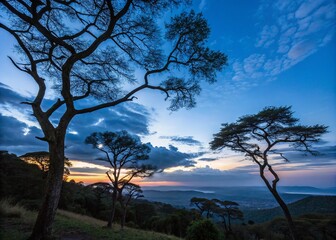 Obraz premium Tranquil Low Light Landscape with Majestic Trees Against a Vibrant Blue Sky at Dusk, Capturing the Serene Beauty of Nature in Soft Lighting and Rich Colors