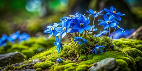 Vibrant Group of Blue Flowers Nestled on a Lush Moss-Covered Ground in a Serene Natural Setting, Showcasing the Beauty of Nature’s Palette and Texture in Architectural Photography
