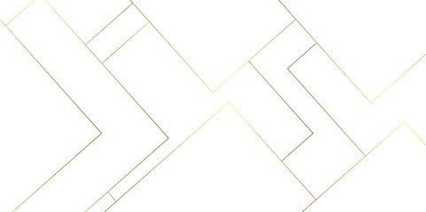 Modern abstract white and gold lines on light grey background. Seamless white geometric lines luxury shapes, vector background. computer geometric digital connection design with gold lines